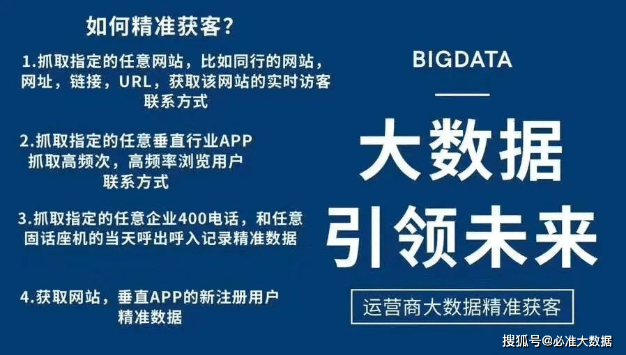 新澳2025精准正版免費資料,详细解答、解释与落实