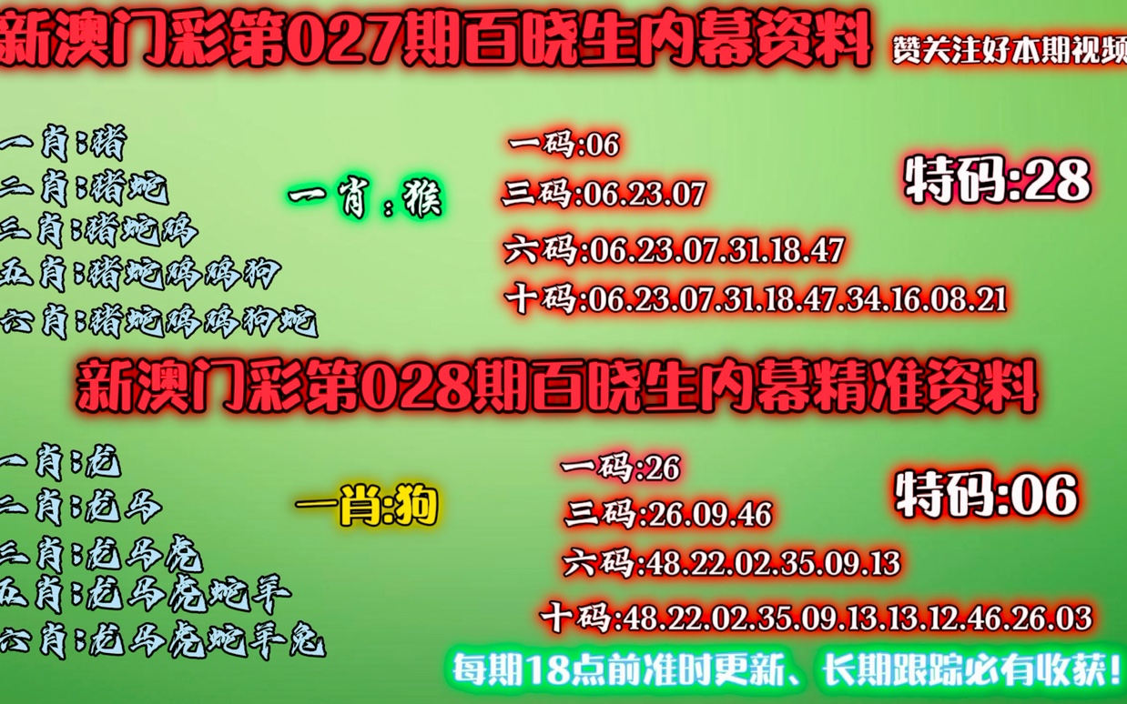 澳门最准一肖一码一码孑,详细解答、解释与落实