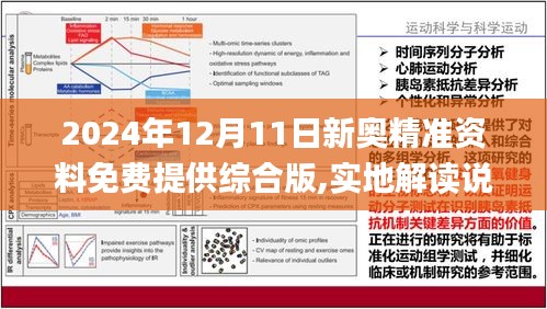 2025精准免费资料查询全面释义、解释与落实