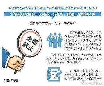 2025年新澳天天开奖;警惕虚假宣传-精选解析解释落实